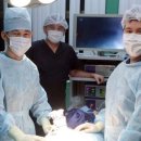 양지메디칼 이미지