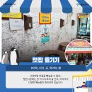 펭귄시장 네이버블로그