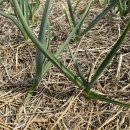 만산농장 이미지