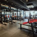 펠리스짐 이미지