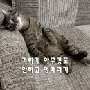 이승윤의알통떡강정 부산화명점 | 키키에서 아인으로