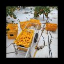 다미농장 이미지