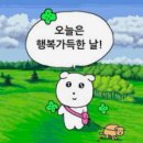 국립화천숲속야영장 이미지