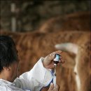 대구가축병원 이미지