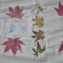 숲사랑유치원 이미지