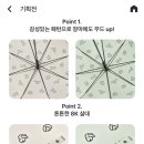웜그레이테일