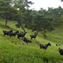 솔염소농장 이미지