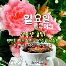 세월이 일러주는 아름다움의 비결 이미지