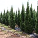 J·H농장 이미지