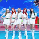미스터츄 Daum카페