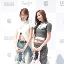 보니