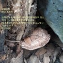 거기농장 이미지