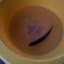 세월낚시터 이미지