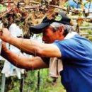 노채팜스테이 이미지