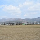 이동파출소삼거리 이미지