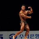 스타덤핏 이미지