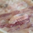 25시회센타 이미지