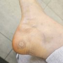 채승범정형외과의원 이미지