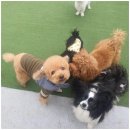 엄마 잘 다녀와 이미지