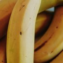바나나 1개 칼로리 다이어트 시 한개라도 더 잘 먹는 법 이미지