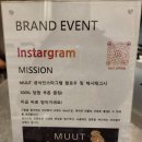 위례 스타필드 시티 안경진정성 | [위례 안경점] 위례 안경 잘하는 곳 프랫안경 스타필드 위례점 MUUT 뭍 안경 구입 후기