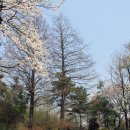 삼풍가든 이미지