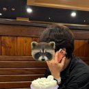 칼미아 | 문정역 케이크 맛집 ‘케이크칼미아’ 레터링 케이트 후기! (+가격)