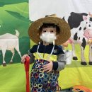 영창농장 이미지