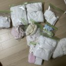 대나무골농장 | [37주] 해남장수촌닭/내진/태동검사/산후도우미예약/고창청보리밭/임산부필라테스/임산부부종/청첩장모임