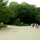 광릉수목원 이미지