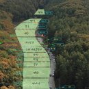 별숲캠핑장 이미지