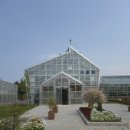 양양군농업기술센터 본소 | [힐링 산책 후기] 양양군 농업기술센터 식물원 &amp; 데이비드 오스틴 장미밭 🌿🌹