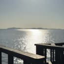 주정차단속-131 이미지