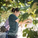 장안초석포분교 이미지