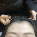 퀸즈헤어라인