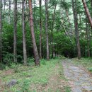 다리안관광지 이미지