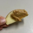 마켓민팅 | 강아지사과 간식 레시피와 과일 마켓민팅 청송사과 선택이유