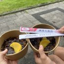 (주)런 | 2025 금오산트레일레이스 10km 후기 | 짜장면주는 트레일런