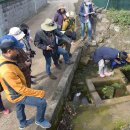 창천리 남당물 이미지