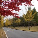 복순네칼국수
