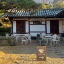 원두보건진료소 | [천안 풍세] 가을에 너무 예쁜 넓은 야외 정원이 있는 대형 한옥카페, 풍세커피