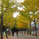 문경새재는 지금 불바다 이미지