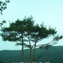 1267 이미지