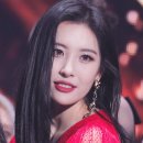 선미헤어 네이버블로그