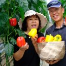 광택농장 이미지