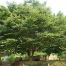 쌍둥이민박 이미지