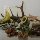 무안개고기 이미지