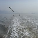 하늘보세