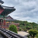 꼬막수산