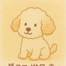 트레이더스 홀세일클럽 서면점(대형마트) 이미지